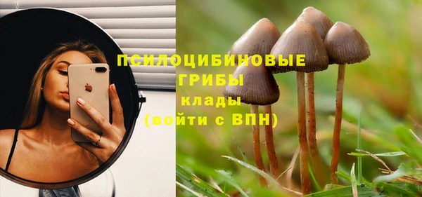 тгк Бородино