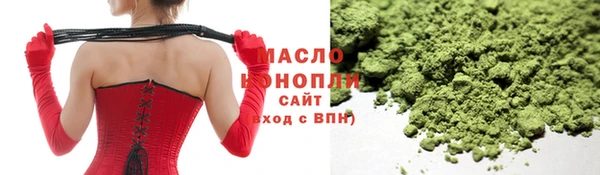 тгк Бородино
