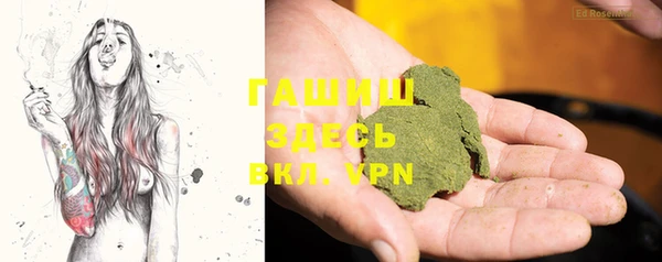 тгк Бородино