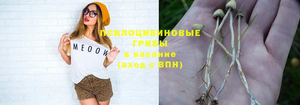 шишки Бугульма