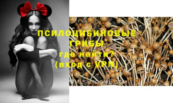 тгк Бородино