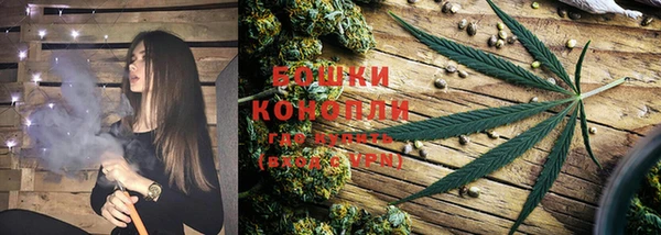 стафф Бронницы
