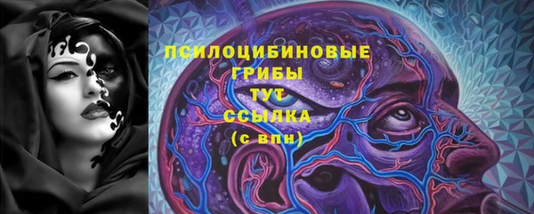 шишки Бугульма