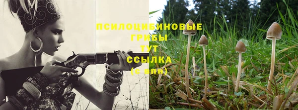 стафф Бронницы