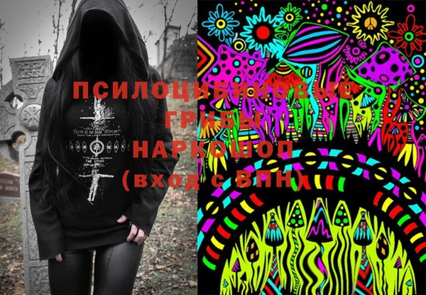 тгк Бородино