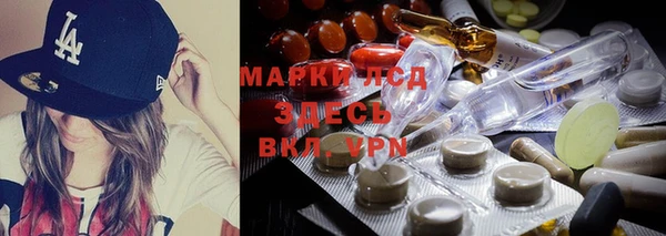 стафф Бронницы